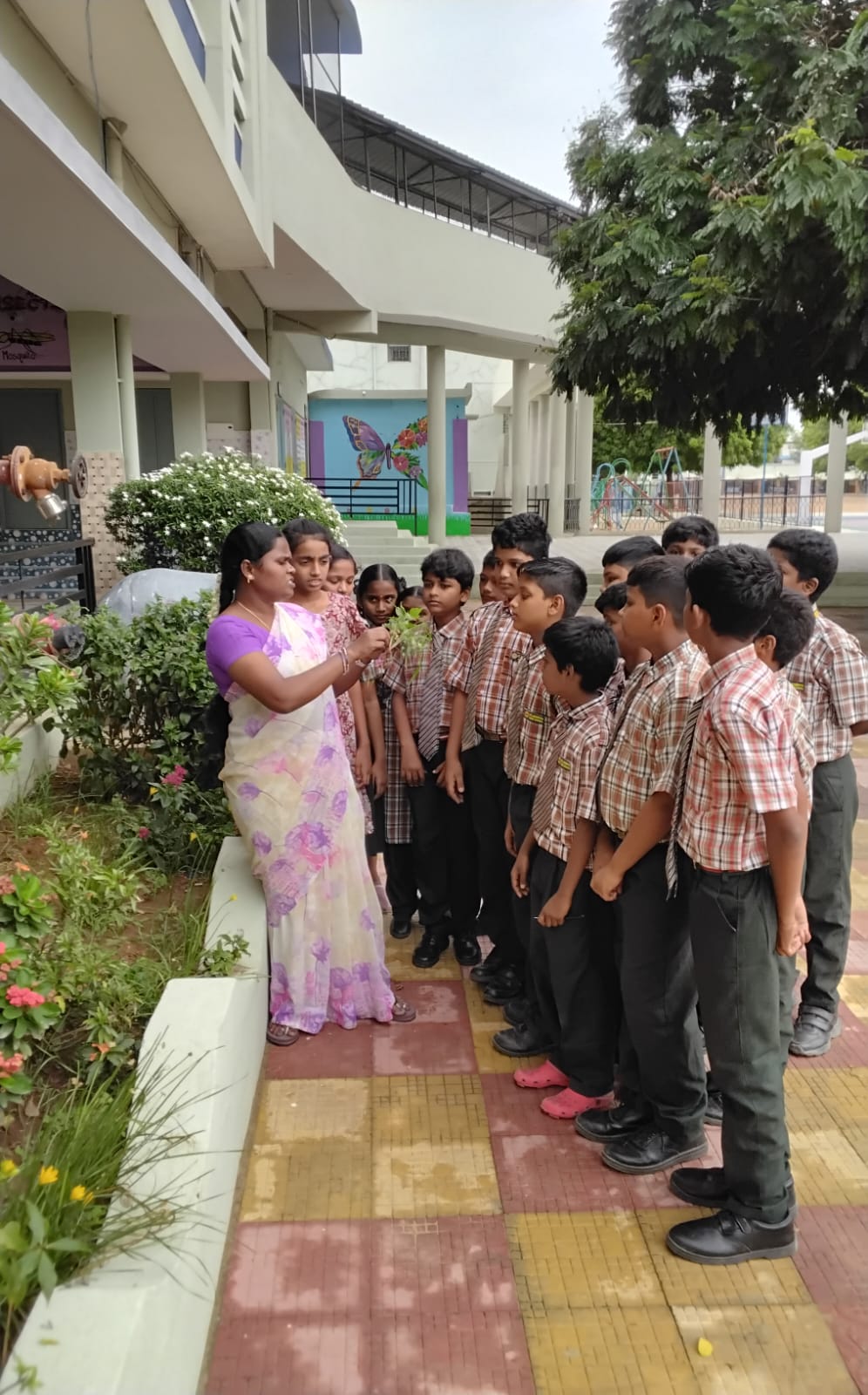 admin/about_picture/